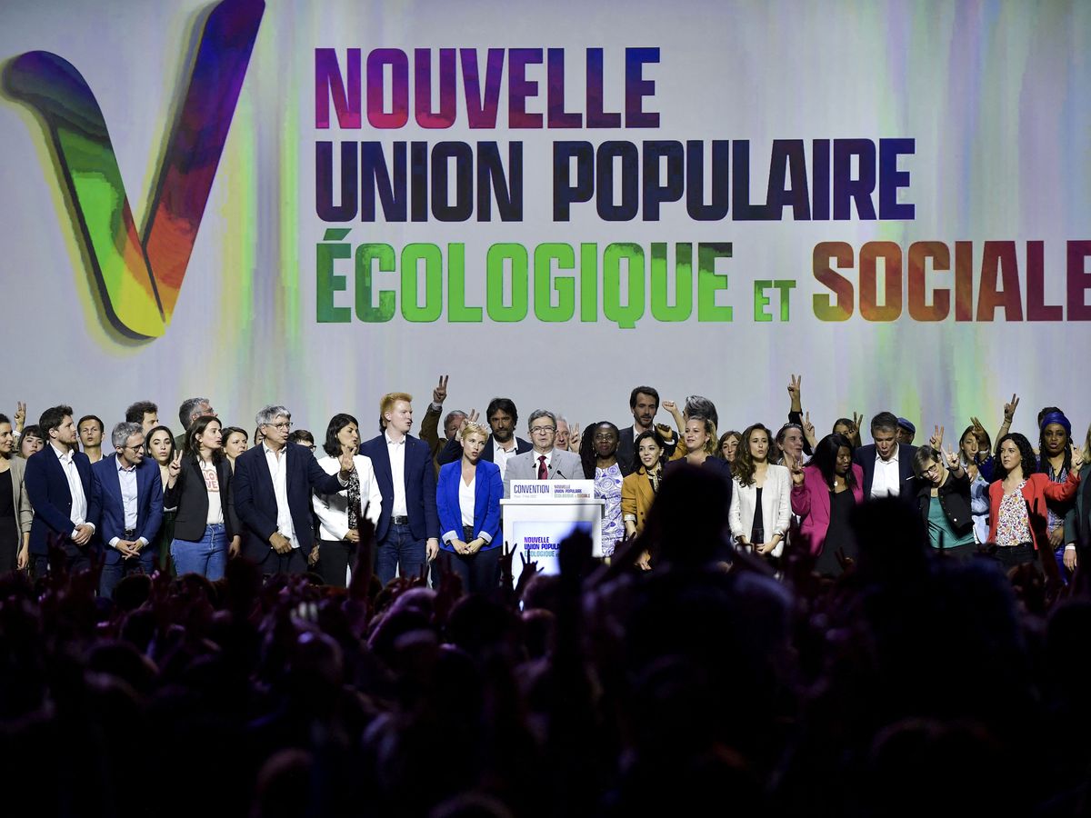 La Nouvelle Union Populaire Ecologique et Sociale