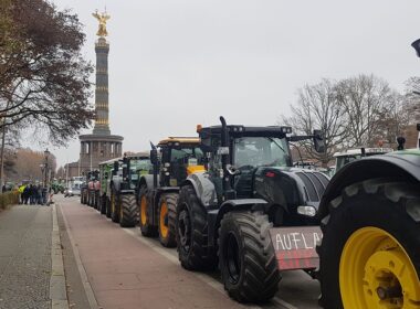 Manifestation des agriculteurs à Berlin (Allemagne) en 2019 © Pixabay