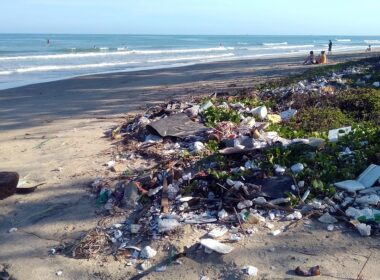 Déchets sur une plage. © sergeitokmakov, Pixabay.