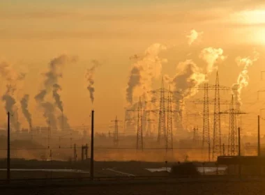 Le plus haut sommet sur le climat, la COP 29, se déroulera du 11 au 22 novembre. A l’occasion, les plus grands dirigeants du monde se réuniront dans un pays qui sape délibérément les piliers du militantisme climatique : l'Azerbaïdjan. Crédit : Pexels