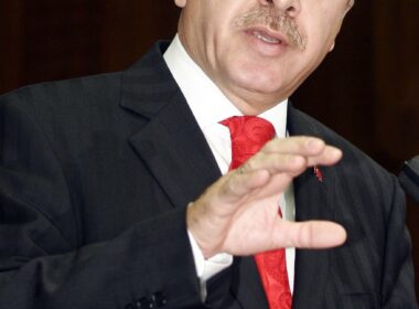 Tayyip Erdogan, co-founder of the AKP Party in Turkey Photo source: https://pixabay.com/fr/photos/recep-tayyip-erdogan-rencontre-2402266/