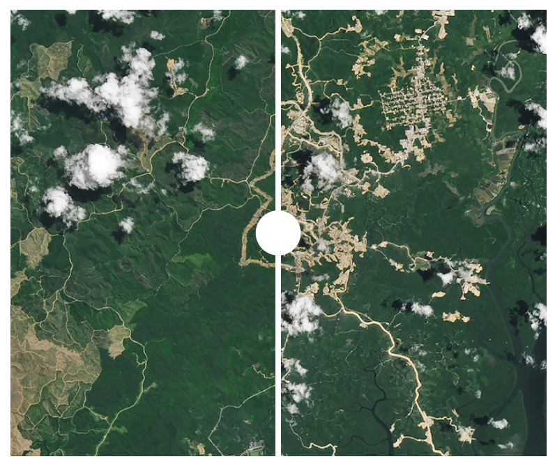 (©NASA Earth Observatory, the Nusantara construction site between April 2022 (left) and February 2024 (right))